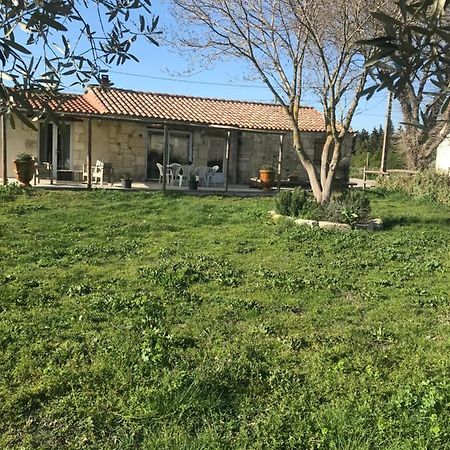 Вилла Mazet En Camargue Арль Экстерьер фото