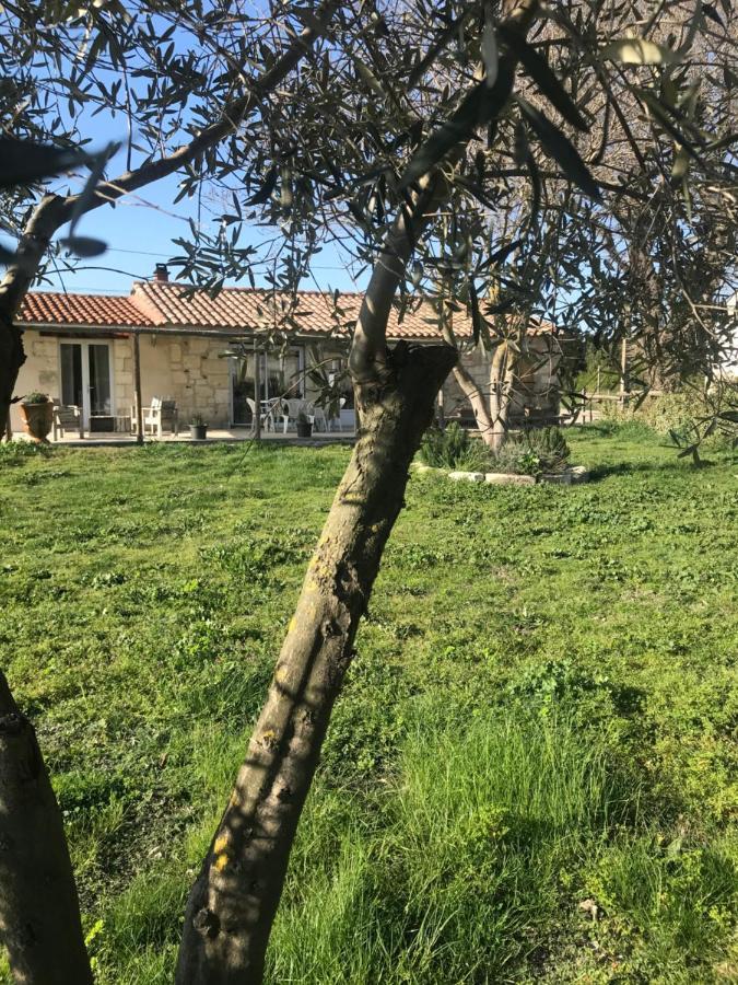 Вилла Mazet En Camargue Арль Экстерьер фото